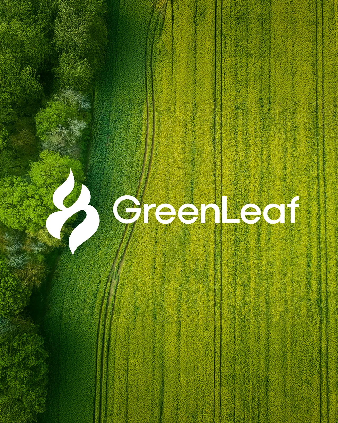 GreenLeaf (Konsept) — Gönderi tasarımı 1