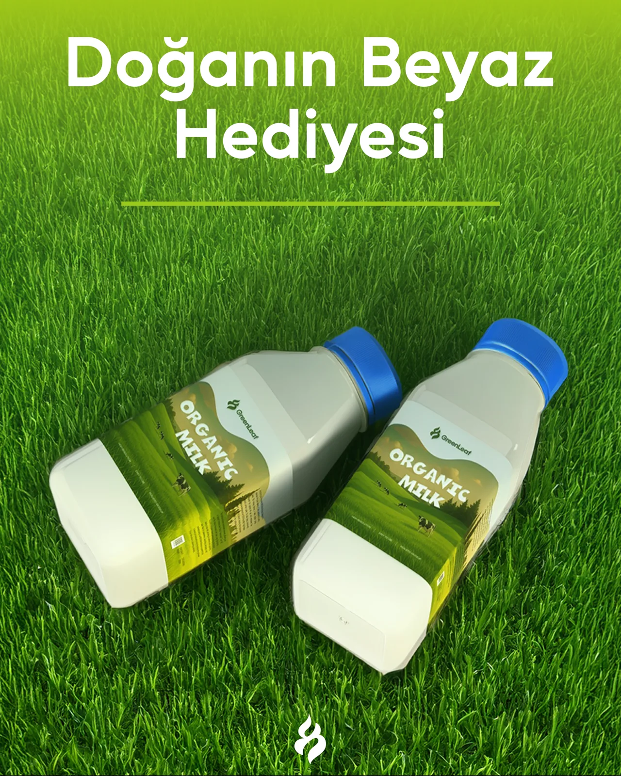 GreenLeaf (Konsept) — Gönderi tasarımı 4