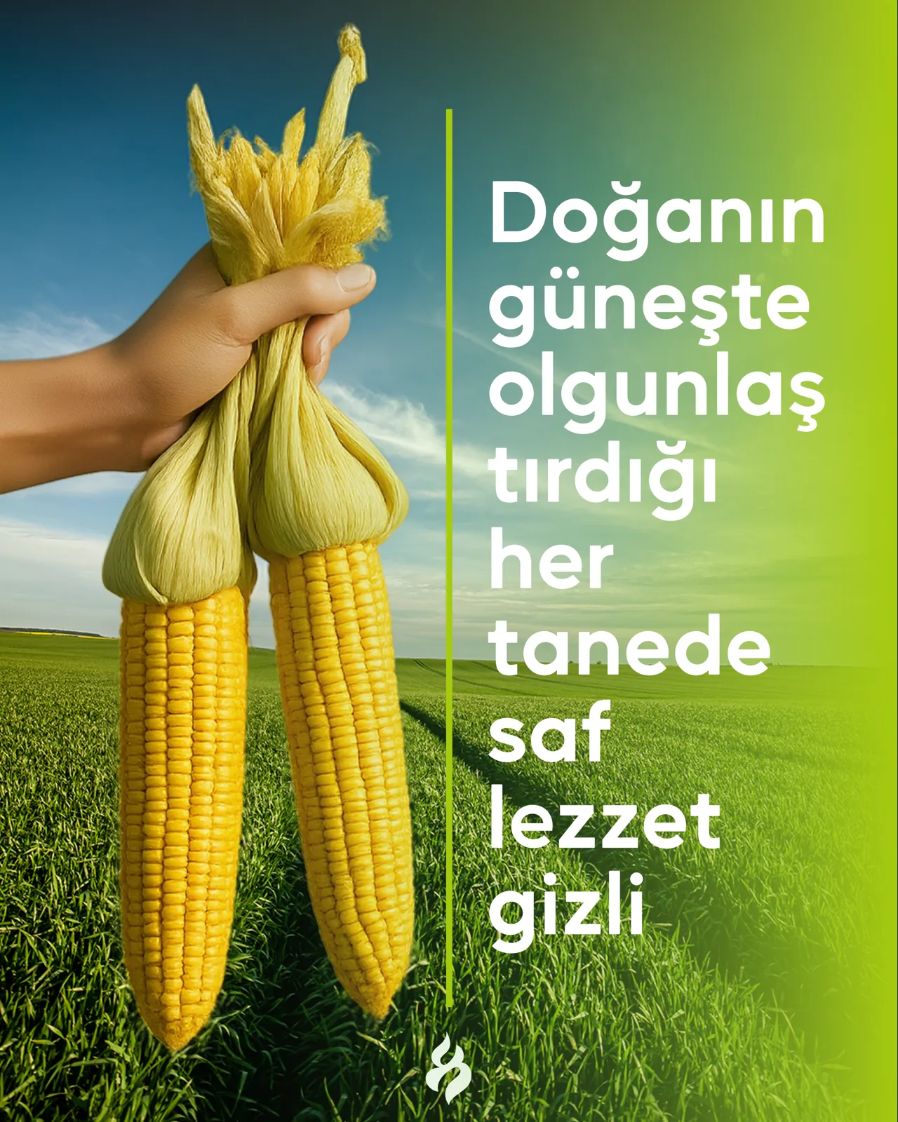 GreenLeaf (Konsept) — Gönderi tasarımı 6
