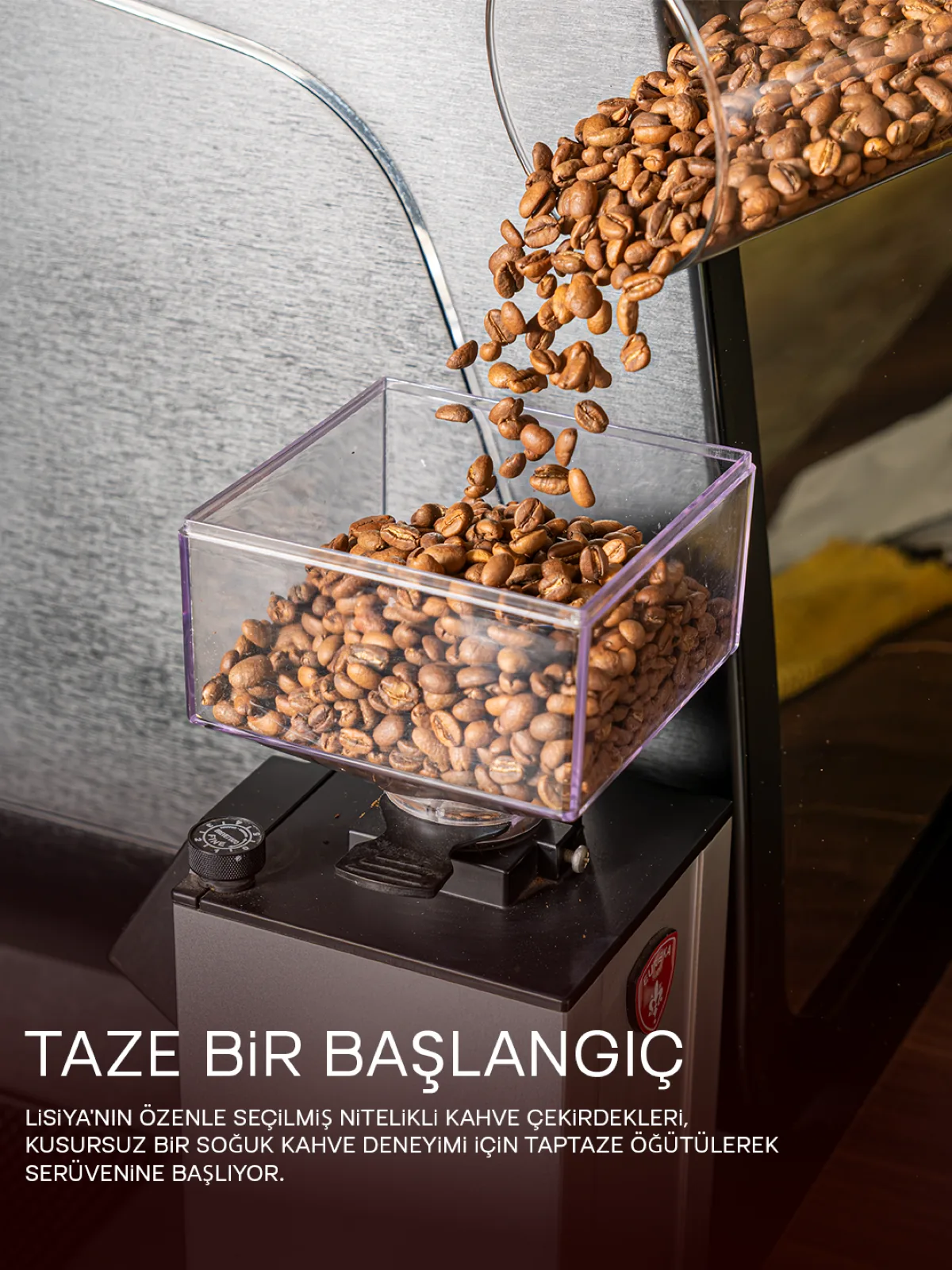 Lisiya — Gönderi tasarımı 1