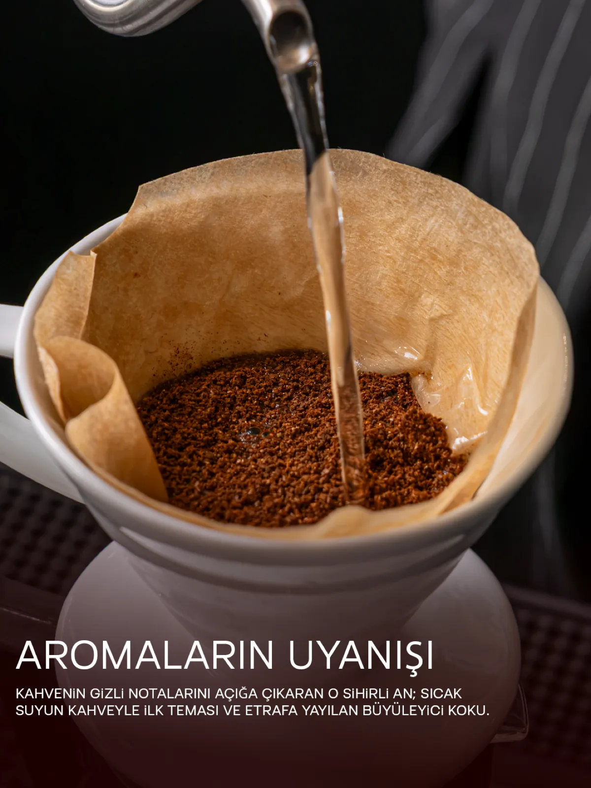 Lisiya — Gönderi tasarımı 3
