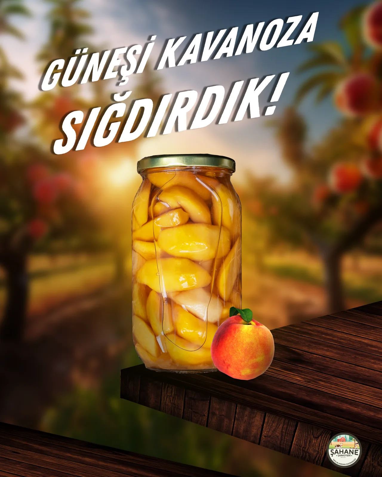Şahane Şarküteri — Gönderi tasarımı 3