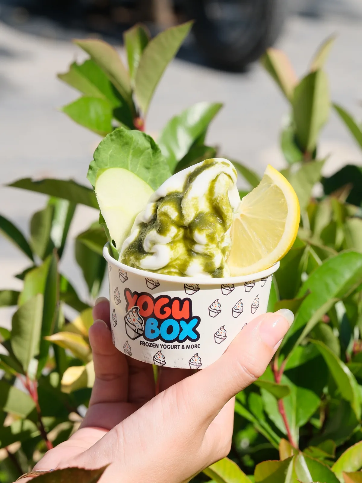 YoguBox — Gönderi tasarımı 1